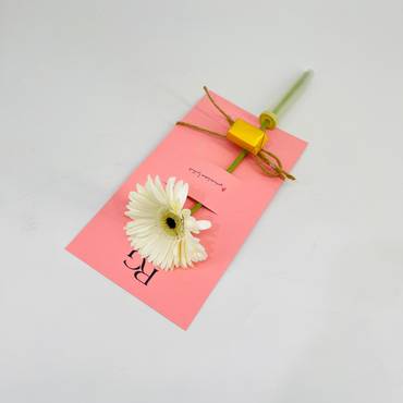 صورة مصغرة 3