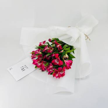 صورة مصغرة 3