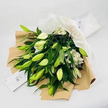 صورة مصغرة 2