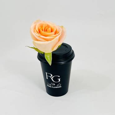 صورة مصغرة 3