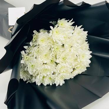 صورة مصغرة 2