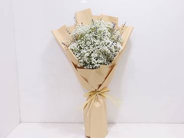 صورة مصغرة 3