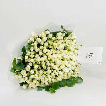 صورة مصغرة 1