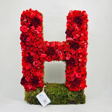 صورة مصغرة 1