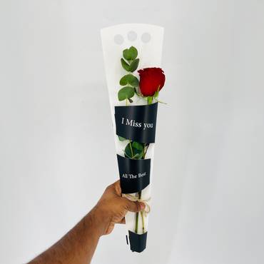 صورة مصغرة 3