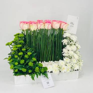 صورة مصغرة 2