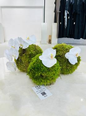 صورة مصغرة 2