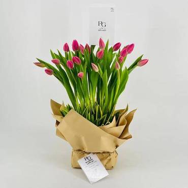 صورة مصغرة 3