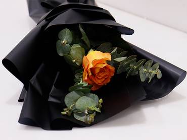 صورة مصغرة 3