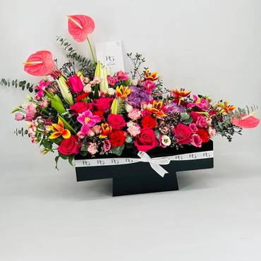 صورة مصغرة 2