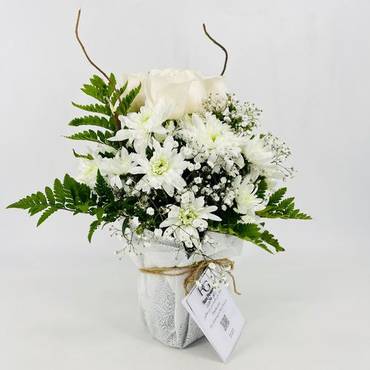 صورة مصغرة 2