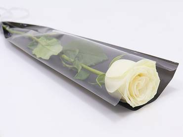 صورة مصغرة 1