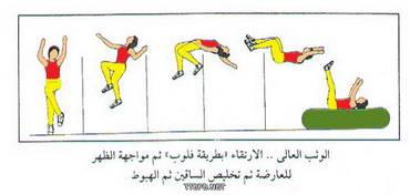 صورة مصغرة 2