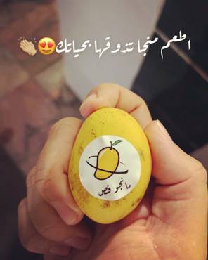 صورة مصغرة 2