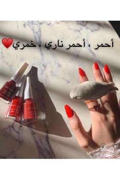 صورة مصغرة 2