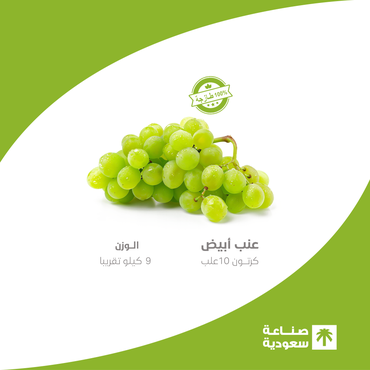 صورة مصغرة 1