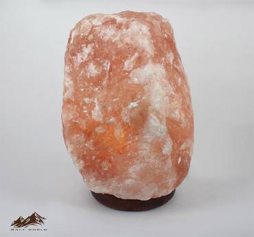 صورة مصغرة 5