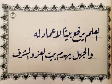 صورة مصغرة 9