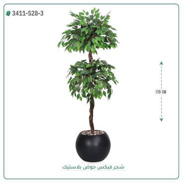 صورة مصغرة 2
