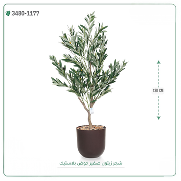 صورة مصغرة 1