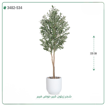 صورة مصغرة 2