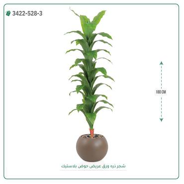 صورة مصغرة 4
