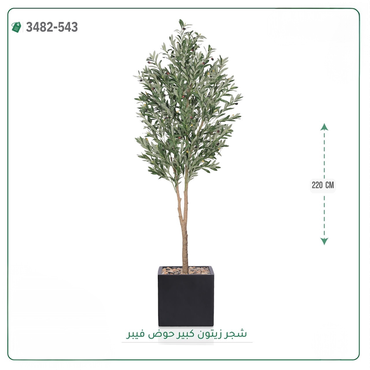 صورة مصغرة 5