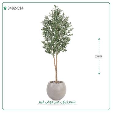 صورة مصغرة 3
