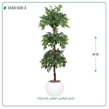 صورة مصغرة 5