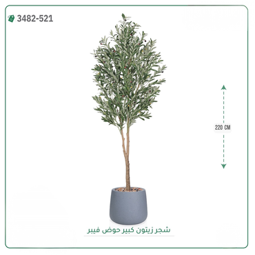 صورة مصغرة 1