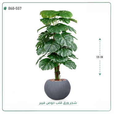 صورة مصغرة 5