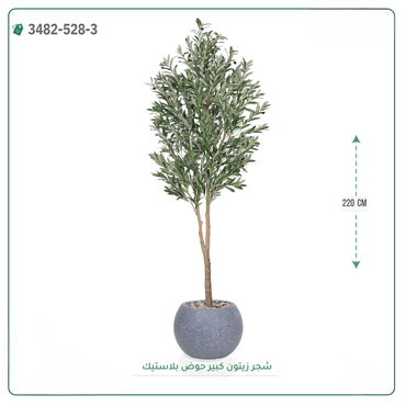 صورة مصغرة 4
