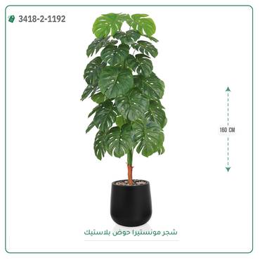 صورة مصغرة 2