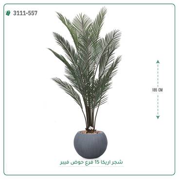صورة مصغرة 6