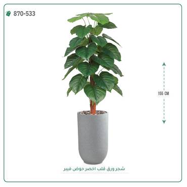 صورة مصغرة 2
