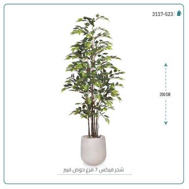 صورة مصغرة 6