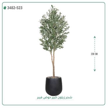 صورة مصغرة 5