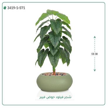 صورة مصغرة 4