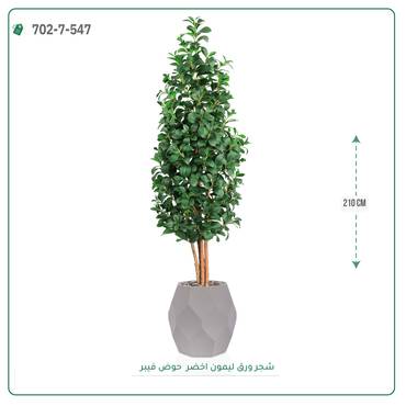 صورة مصغرة 3