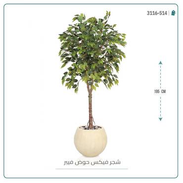 صورة مصغرة 9