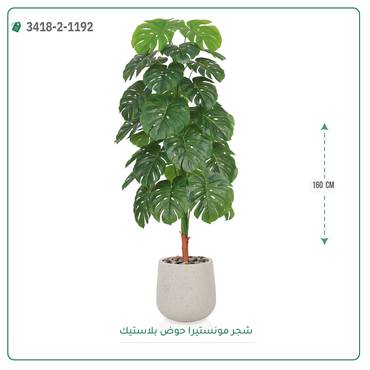 صورة مصغرة 3