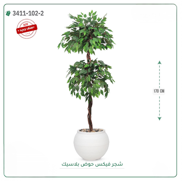 صورة مصغرة 4