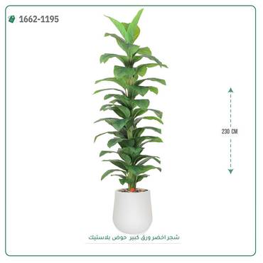 صورة مصغرة 1