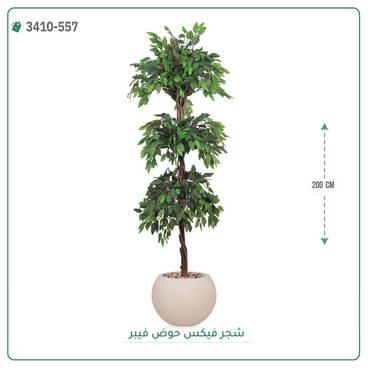 صورة مصغرة 1