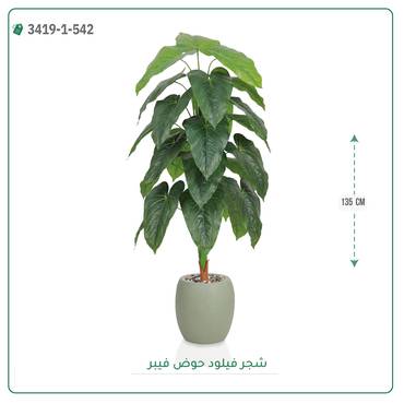 صورة مصغرة 2