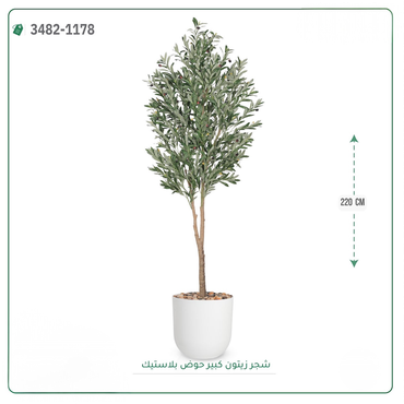 صورة مصغرة 2