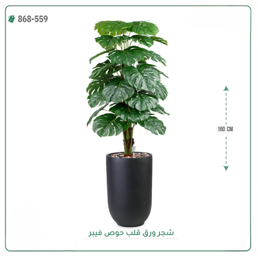 صورة مصغرة 3