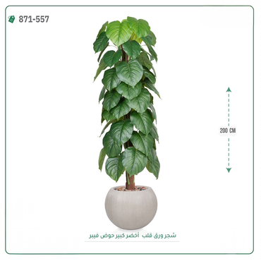 صورة مصغرة 6