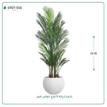 صورة مصغرة 7