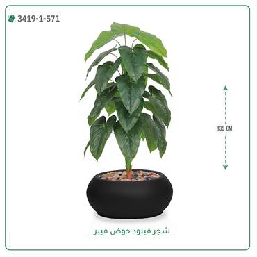 صورة مصغرة 6